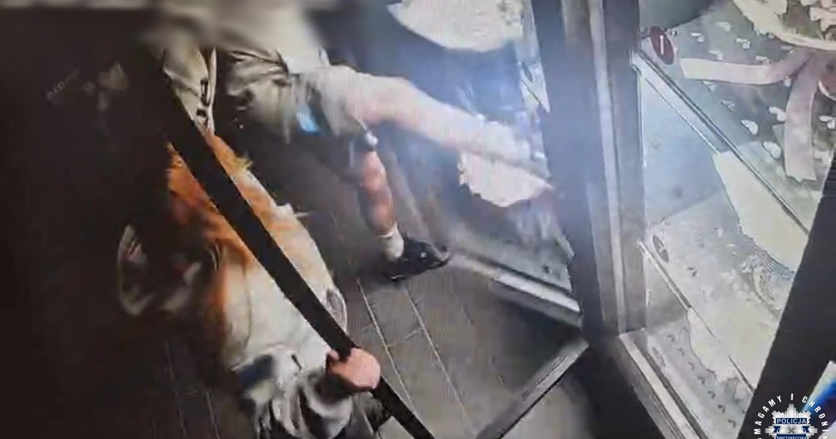 15-latek zniszczył automat do kwiatów. Kamera uchwyciła wszystko