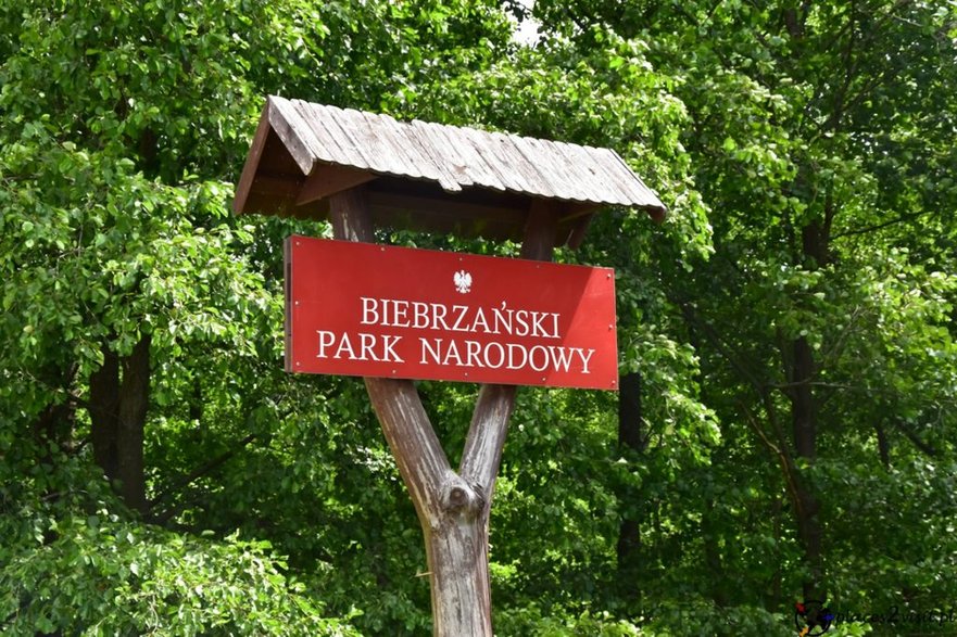 Biebrzański Park Narodowy 