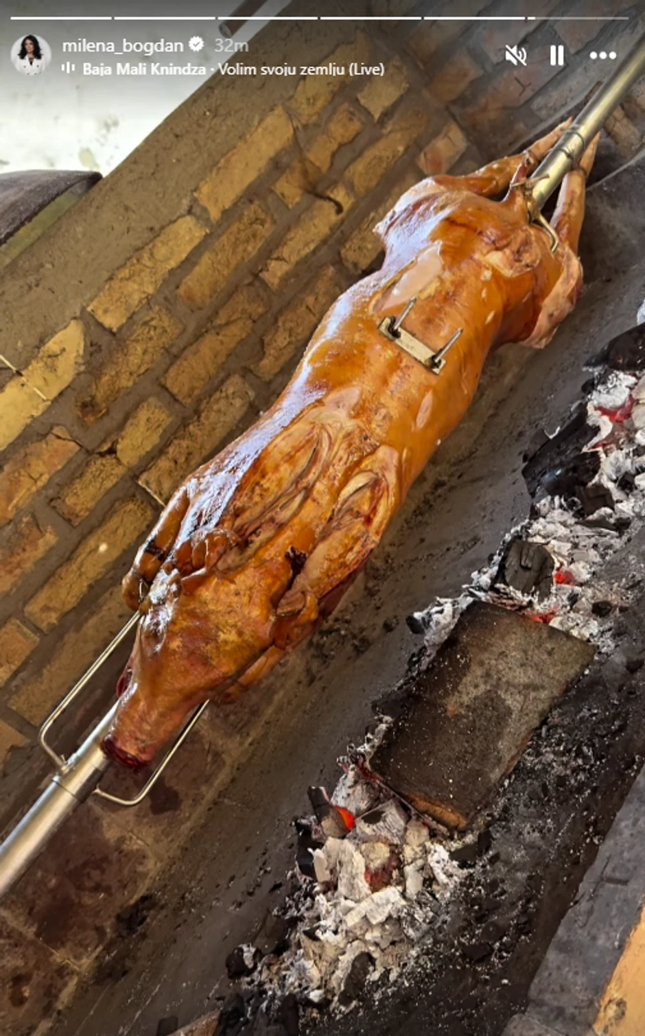 Objava Milene Popović