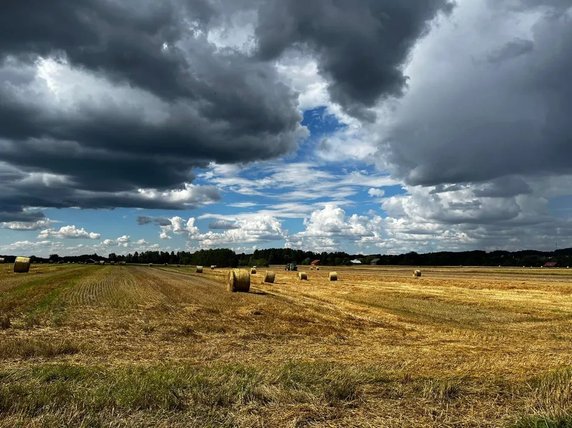 11 sierpnia - Hajnówka - Janów Podlaski - 99 km