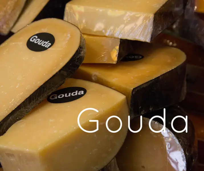 gouda