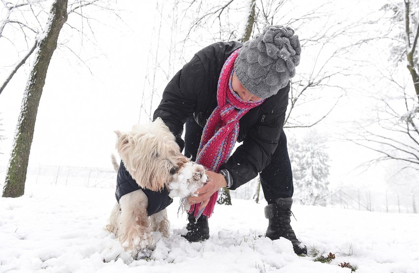 Na vidiku nema novog zahlađenja tokom narednih nedelja, niti će biti sličnih dana u aprilu