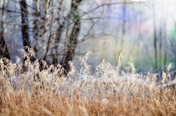 Pogoda jednak nie odpuści. IMGW podaje, kiedy pierwsze przymrozki