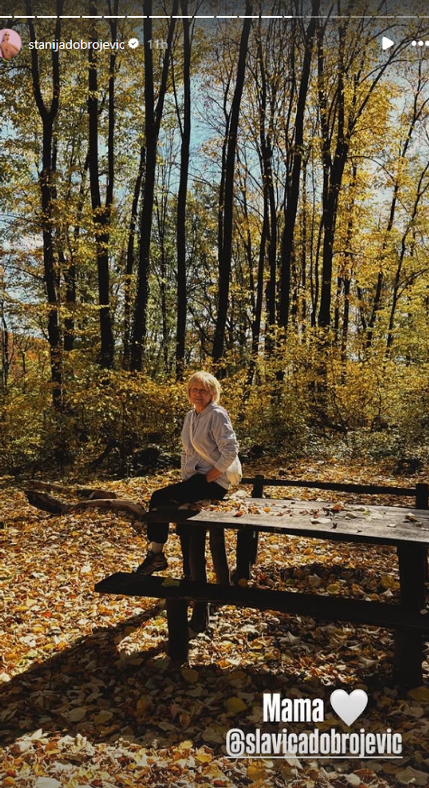 Stanija Dobrojević, objava