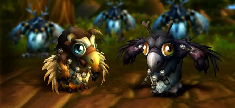 World of Warcraft – dwa nowe pety – mały Moonkin i mały... Ragnaros