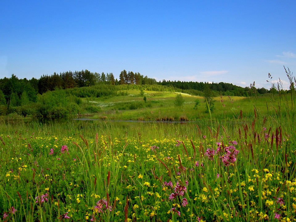 Park Krajobrazowy Wzgórz Dylewskich