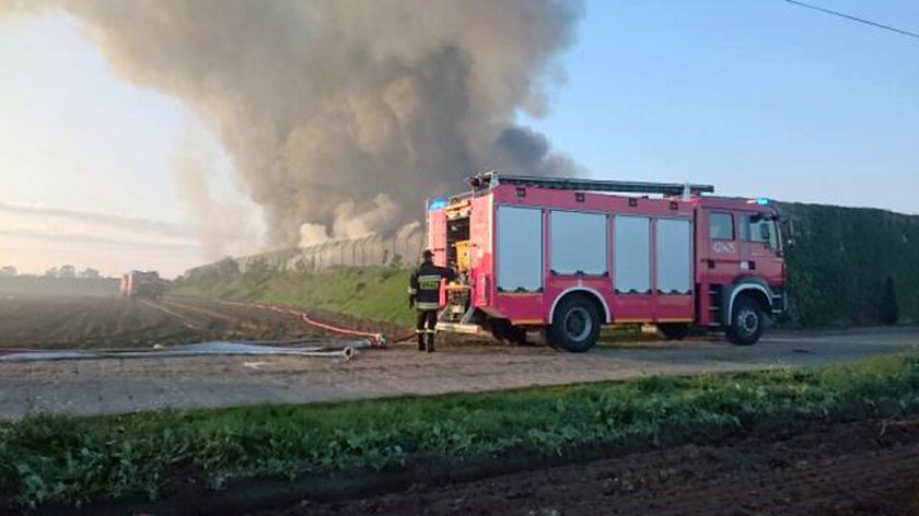 Gigantyczny pożar wysypiska śmieci w Dąbrówce Wielkopolskiej