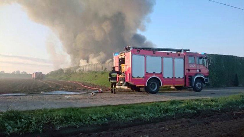 Gigantyczny pożar wysypiska śmieci w Dąbrówce Wielkopolskiej