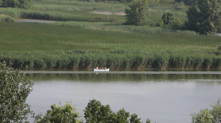 A Tisza áradása miatt lezárják a szegedi rakpartot péntek déltől/ Fotó: Grnák László