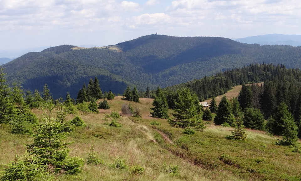 Najpiękniejsze szlaki - Gorc