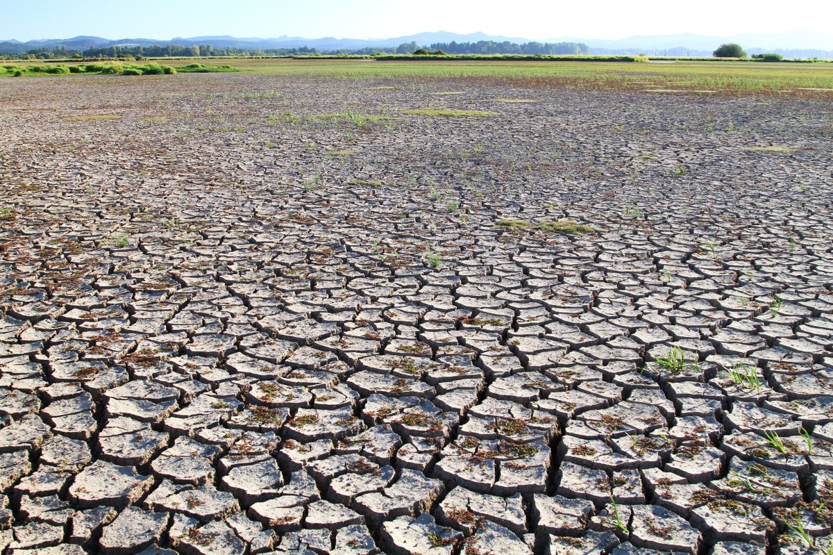 Temperatura w Oregonie sięgała 47 stopni Celsjusza