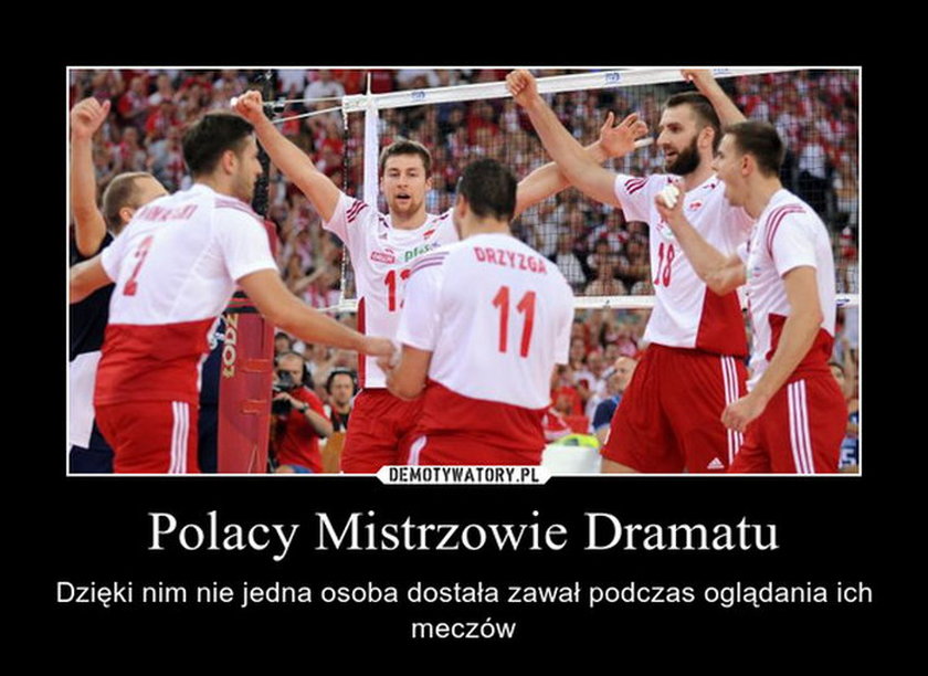 Memy internautów po meczu Polska - Brazylia! Galeria!