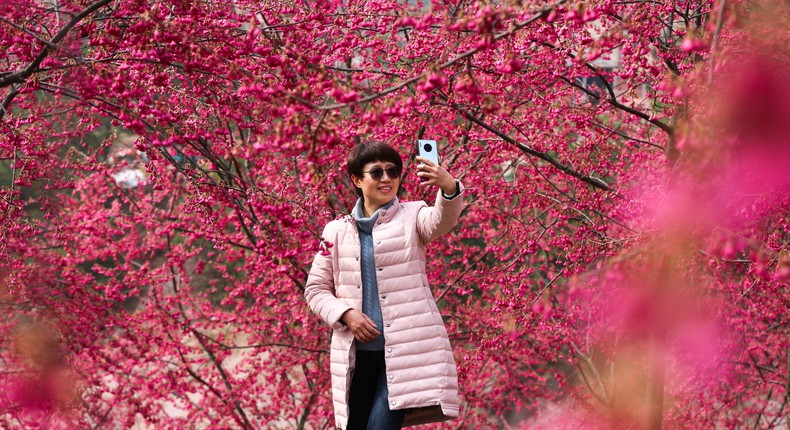 A woman takes takes a selfie in front of cherry blossoms in Zhejiang province, China.VCG/Getty Images