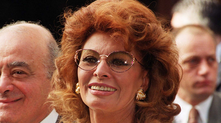 friss hírek Sophia Lorenről / Fotó: Northfoto