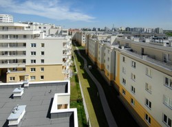 Coraz więcej mieszkań na wynajem