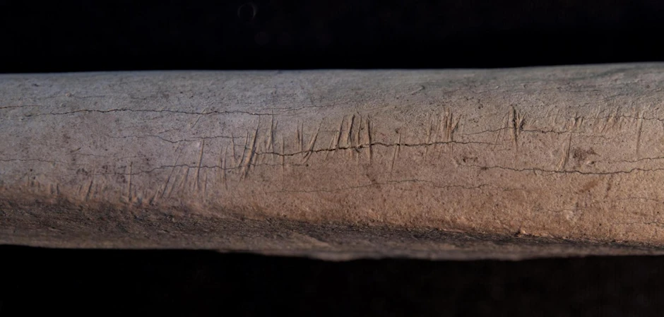 Tragovi sečiva na kosti