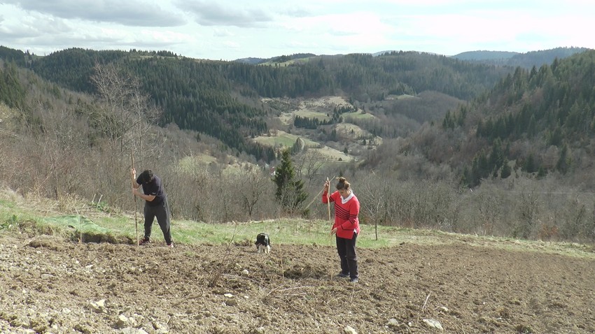 Dunja i Vladimir Ristanović