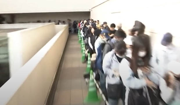 Redovi za pirinač u Japanu