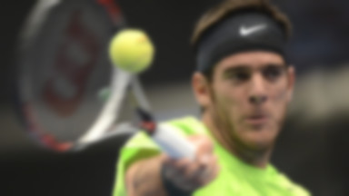 ATP w Wiedniu: Del Potro w ćwierćfinale