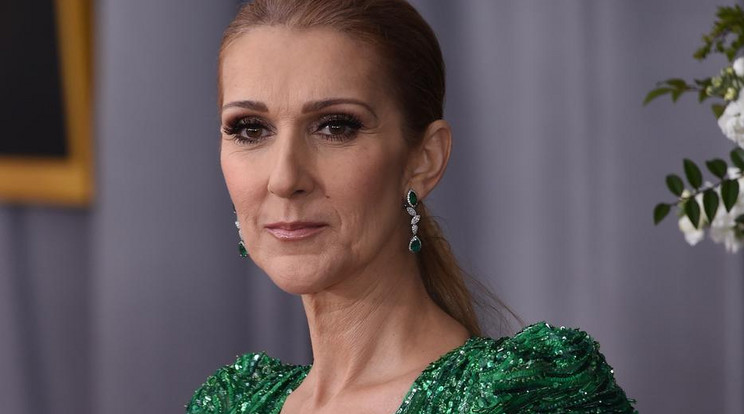 Céline Dion hamarosan új névrokont kap, egy 30 éves brit férfi személyében /Fotó: Northfoto