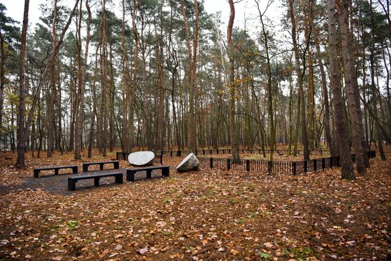 Na terenie cmentarza junikowskiego powstał Las Pamięci fot. UMP