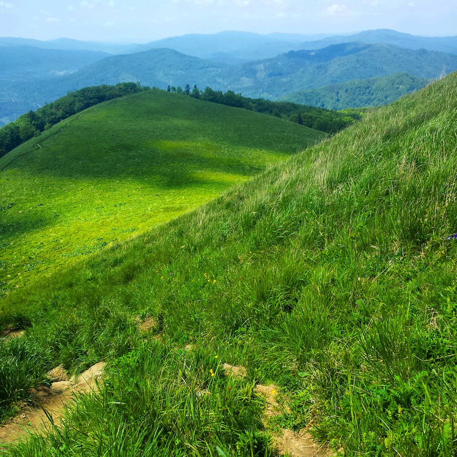 Bieszczady to jeden z najbardziej dzikich i tajemniczych zakątków Polski