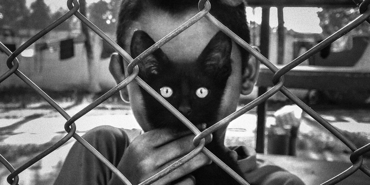 Wyróżniona praca Polaka - Arka Rataja - 'Cat's Eyes'