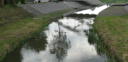 Zwłoki kobiety w rzecze. Co tam się stało?