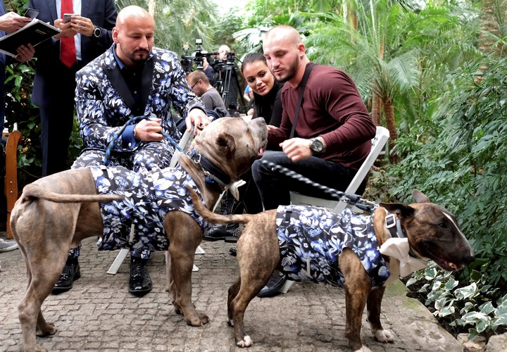 Artur Szpilka na spacerze ze swoimi psami