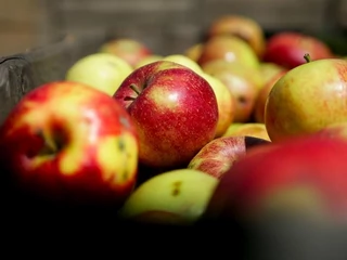 jabłka owoce żywność 