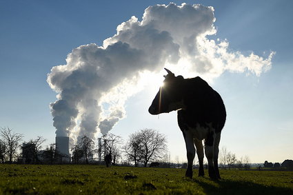 "Prawa do emisji CO2 powinny być zlikwidowane". Propozycja z polskiego rządu dla Unii