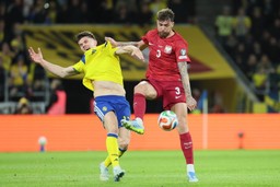 finał baraży o mundial. szwecja - polska [relacja na żywo]