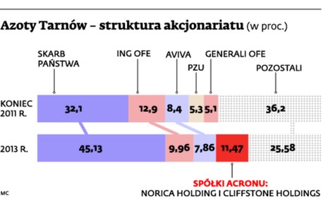 Azoty Tarnów – struktura akcjonariatu (w proc.)