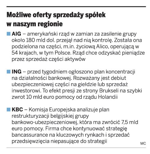 Możliwe oferty sprzedaży spółek w naszym regionie