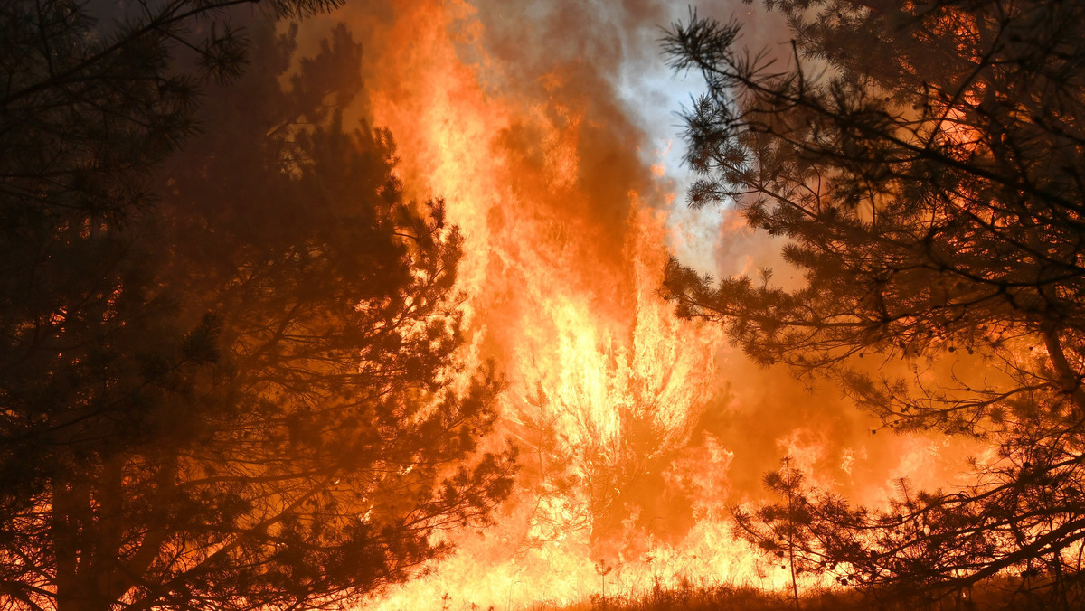 Płonie kilka hektarów lasu w Chinowie w powiecie kozienickim – informuje RMF FM. Niewykluczone, że przyczyną ognia jest celowe podpalenie.
