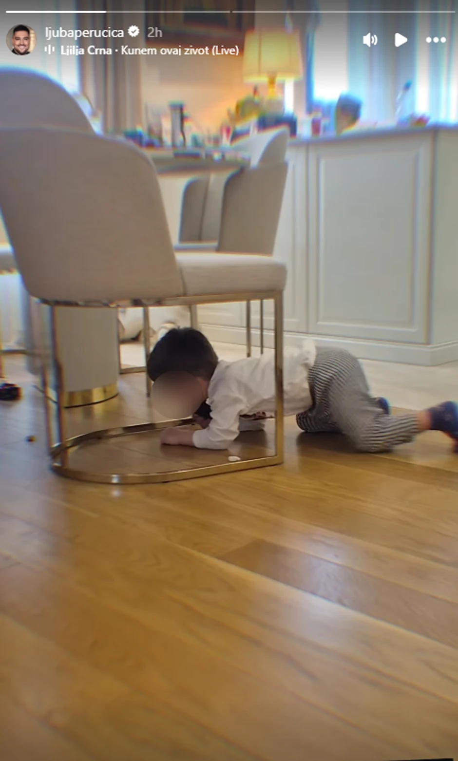 Ljuba Perućica, žena i deca