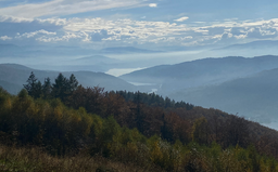O turystyce w dobie postcovid na Europejskim Forum Przyszłości