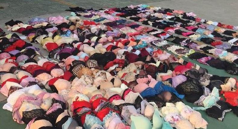 32-year old man uses fishing rod to steal 285 bras and 185 panties from unsuspecting women