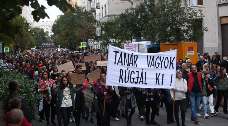 Hatalmas tömeg demonstrált a tanárokért / Fotó: Czerkl Gábor
