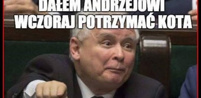 Z tego śmiali się Polacy. Polityczne memy tygodnia