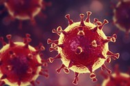 MERS virus, Meadle-East Respiratory Syndrome coronovirus