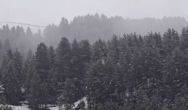 Sneg na Brezovici