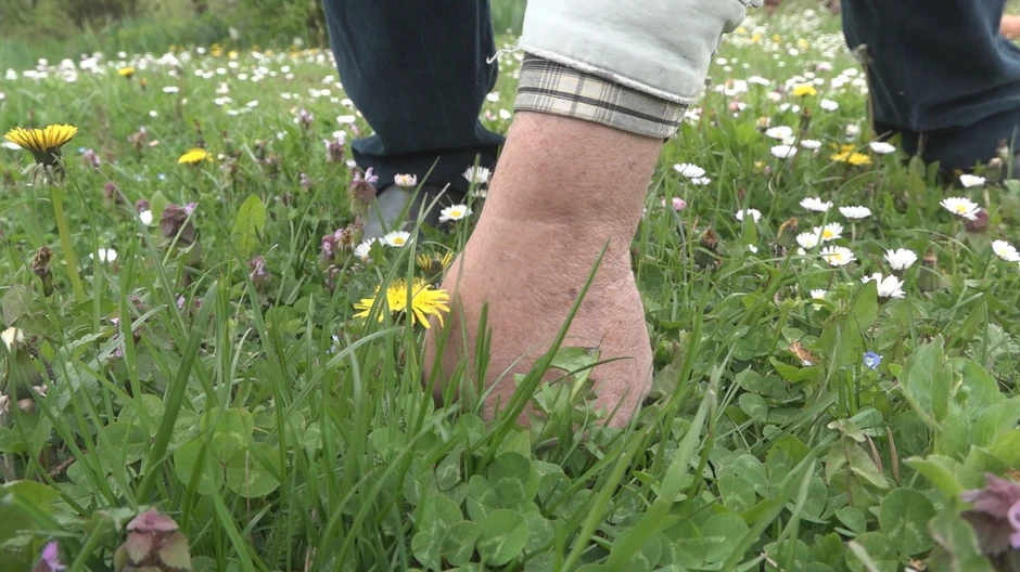 Tri biljke kojima je oduševljen su sremuš, kopriva i šipurak