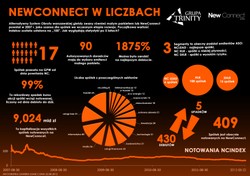 Pół dekady na huśtawce, czyli urodziny NewConnect