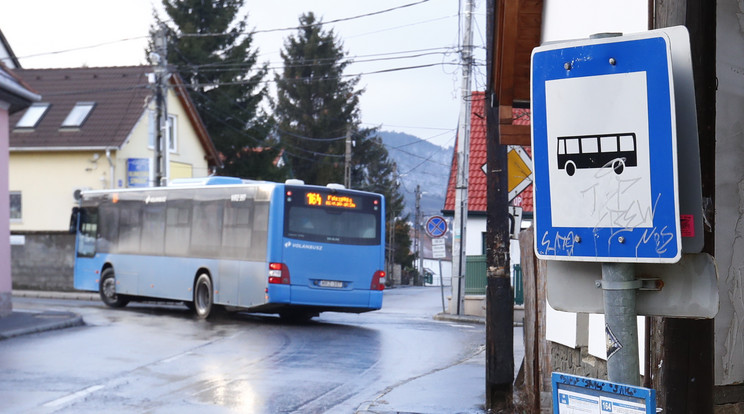 A rendhagyó buszmegálló-
táblának a
solymáriak örülhetnek /Fotó: Fuszek Gábor
