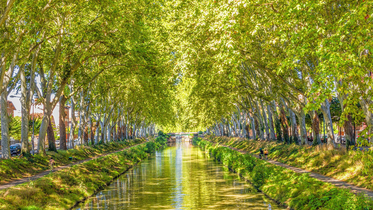 Canal du Midi, czyli Kanał Południowy, to kanał o długości 240 km znajdujący się na południu Francji. Canal du Midi łączy Garonne z Sète, śródziemnomorskim portem w regionie Oksytania we Francji. W 1996 roku Canal du Midi został wpisany na Listę światowego dziedzictwa kultury UNESCO. 