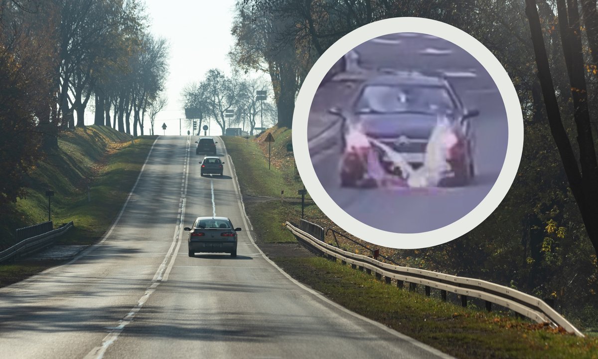 Wpadł prosto pod koła. Kierowca choćby się nie zatrzymał. Internauci nie kryją złości [wideo]