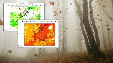 Nie tylko wrzesień zaskoczy nas wysoką temperaturą. W tym roku nie nacieszymy się śniegiem