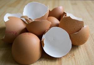 Ljuske od jaja bogat su izvor kalcijuma 