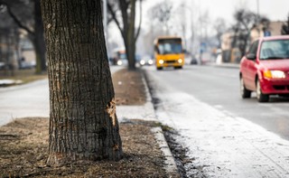 Prokuratura: Winnym wypadku z udziałem premier - Sebastian K. Śledztwo do umorzenia